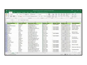 Online, Offline, Excel, Google Spreadsheet Data Entry-3