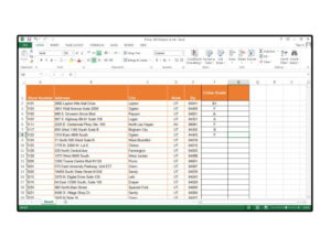 Online, Offline, Excel, Google Spreadsheet Data Entry-6